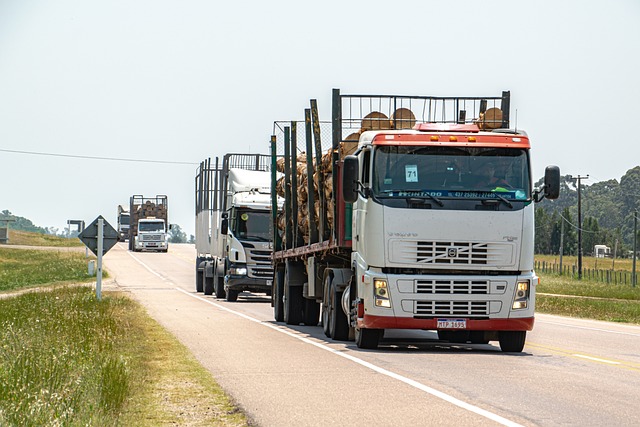 transporte excepcional